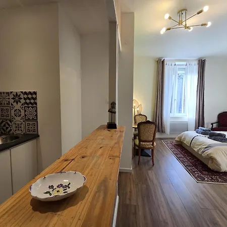 Studio, Avec Cuisine Et Salle De Bain Face Au Jardin Massey Appartement *