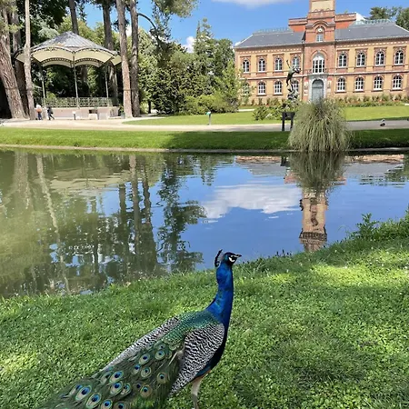 Studio, Avec Cuisine Et Salle De Bain Face Au Jardin Massey Tarbes