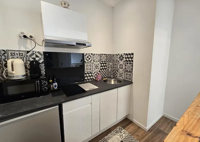 Studio, Avec Cuisine Et Salle De Bain Face Au Jardin Massey Appartement