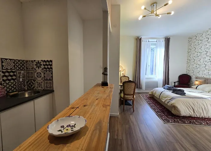 Studio, Avec Cuisine Et Salle De Bain Face Au Jardin Massey Appartement *