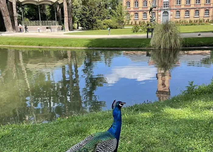 Studio, Avec Cuisine Et Salle De Bain Face Au Jardin Massey Tarbes